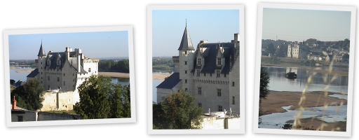 Montsoreau castle on the Loire river